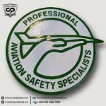 Professional Aviation Safety Specialists