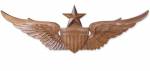 US Army Pilot Wings (Senior)